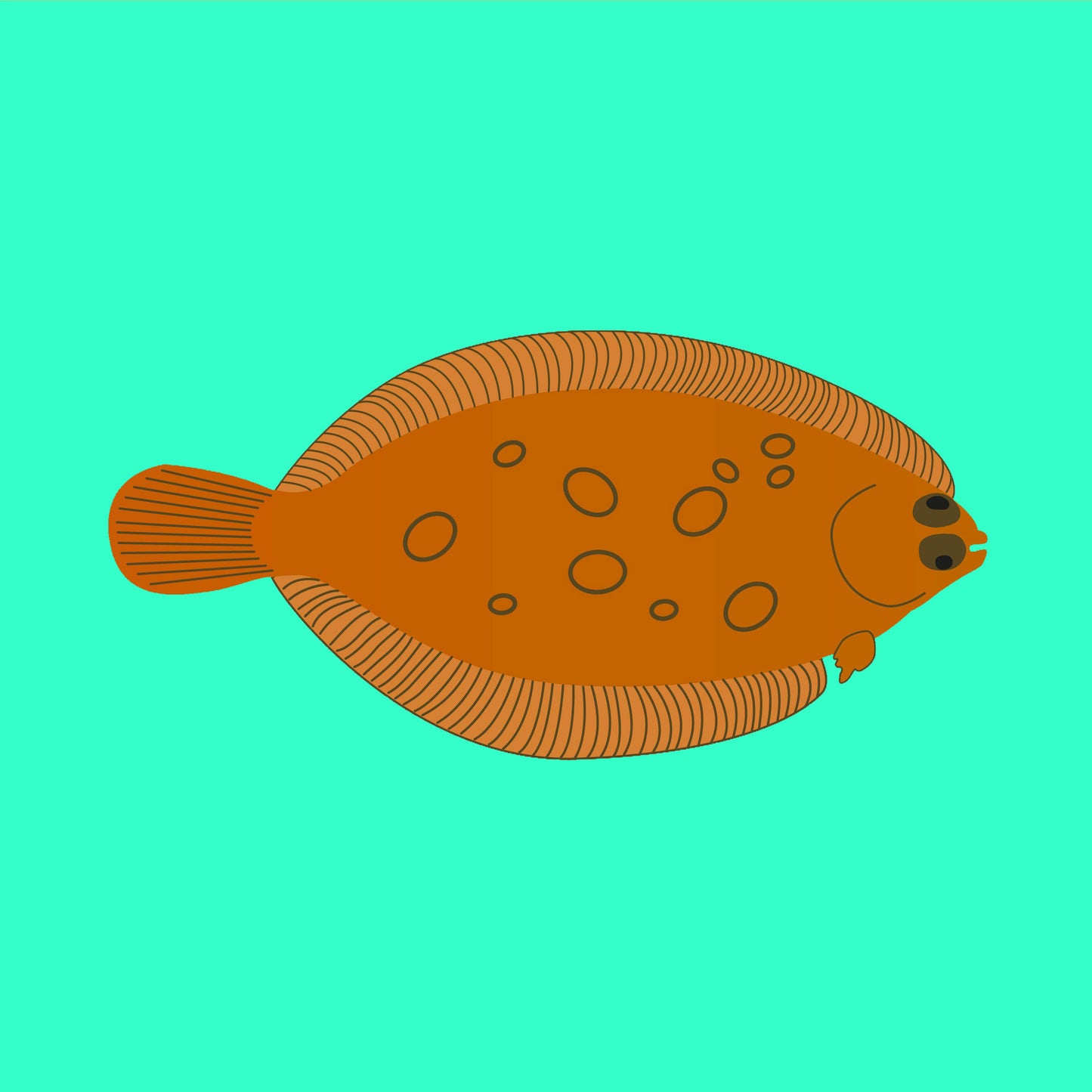 Wild lemon sole