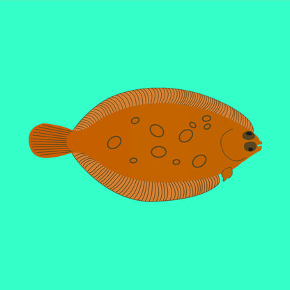 Wild lemon sole