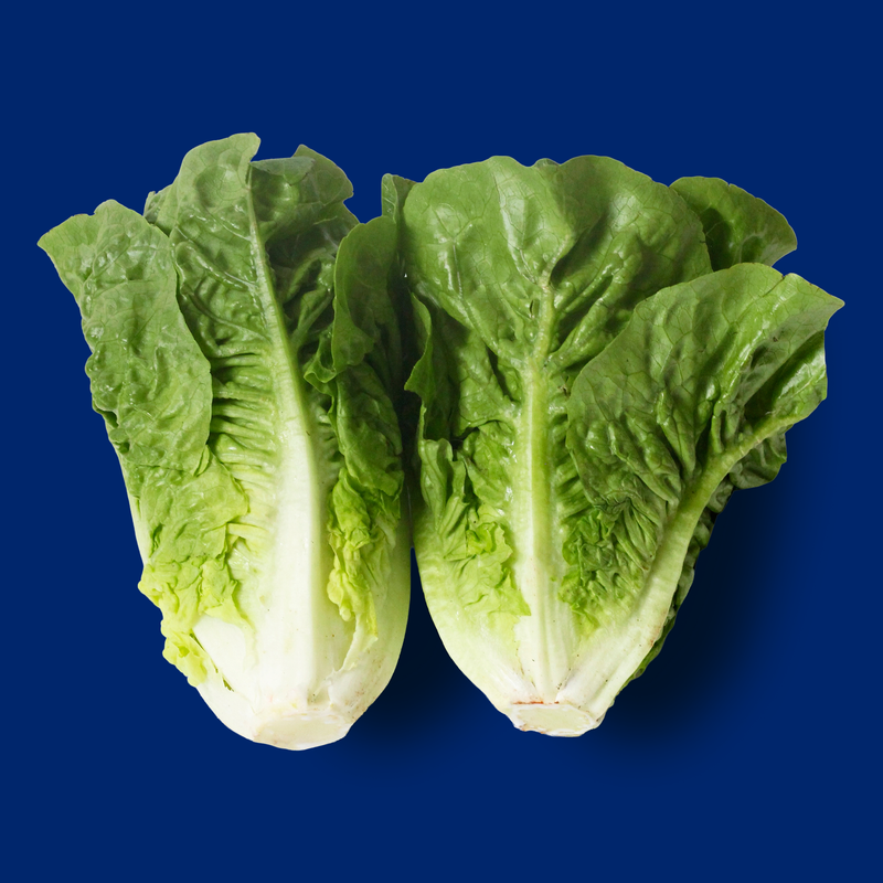 Organic little gem lettuce