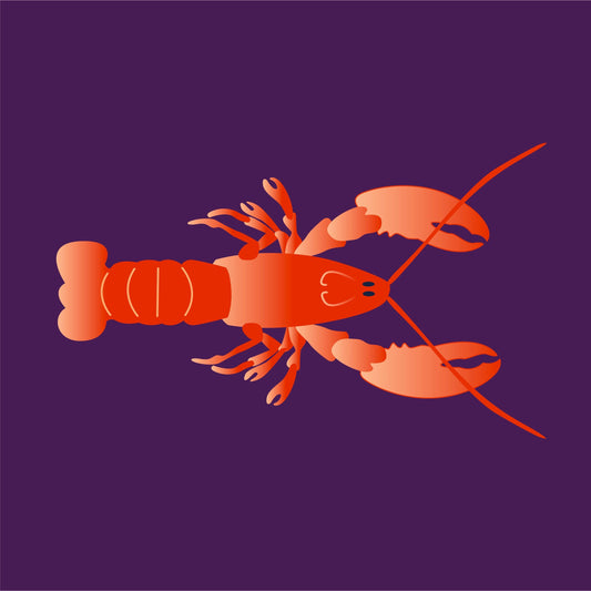 Wild Lobster (Cooked)