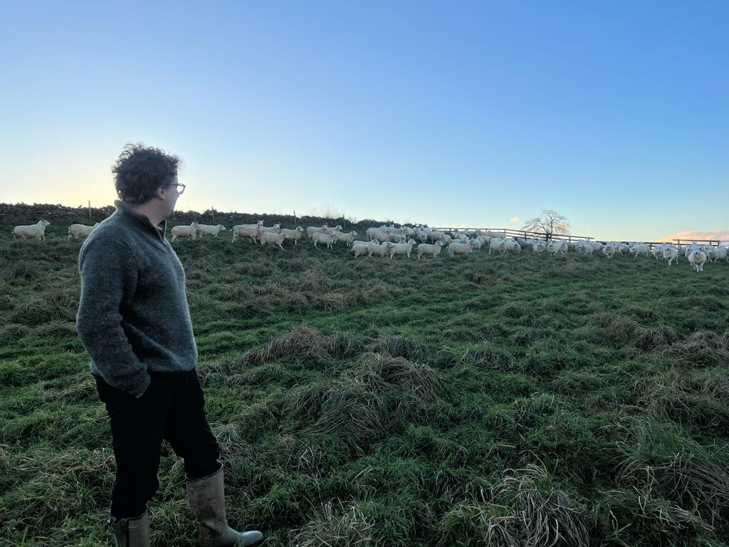 Pasture fed organic hogget shoulder