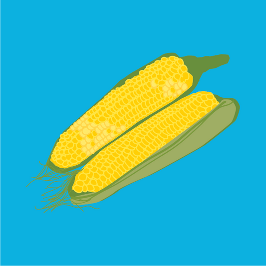 Biodynamic organic corn on the cob