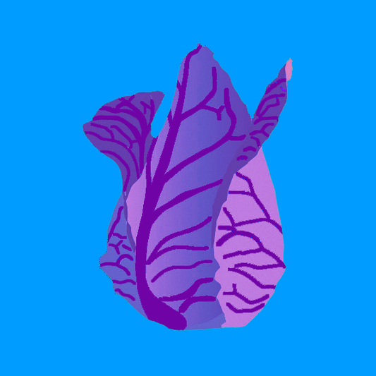 Organic Kalibos cabbage