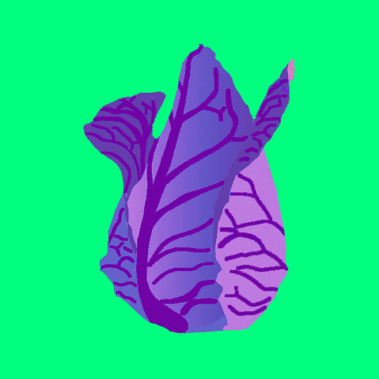 Organic Kalibos cabbage