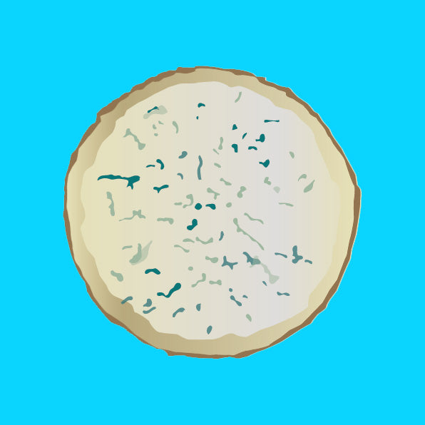 Sparkenhoe blue cheese