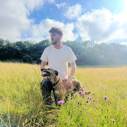 Wild Hearts wildflower seed mix