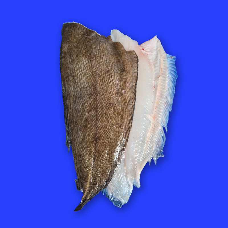 Frozen wild Dover sole fillets