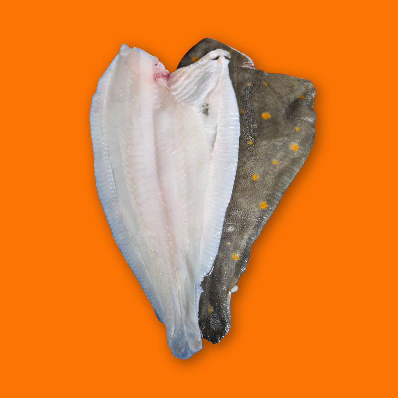 Frozen wild plaice fillets