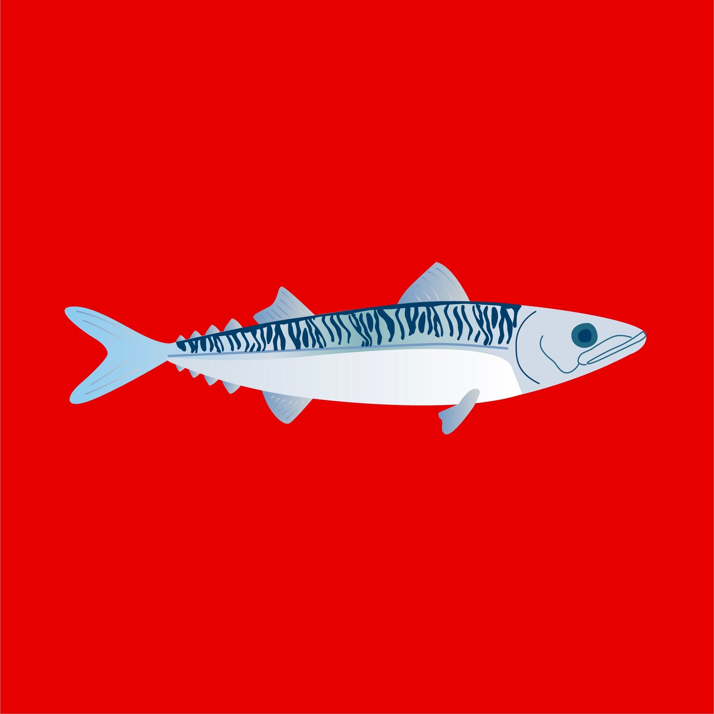 Frozen wild mackerel