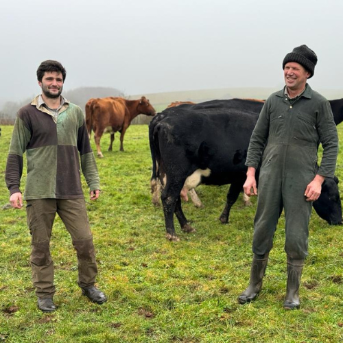 Pasture fed organic lamb's liver