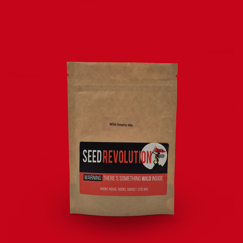 Wild Hearts wildflower seed mix