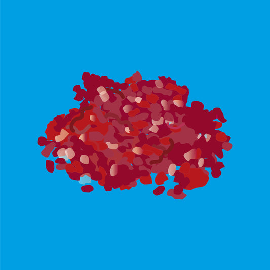 Pasture fed organic retired dairy mince