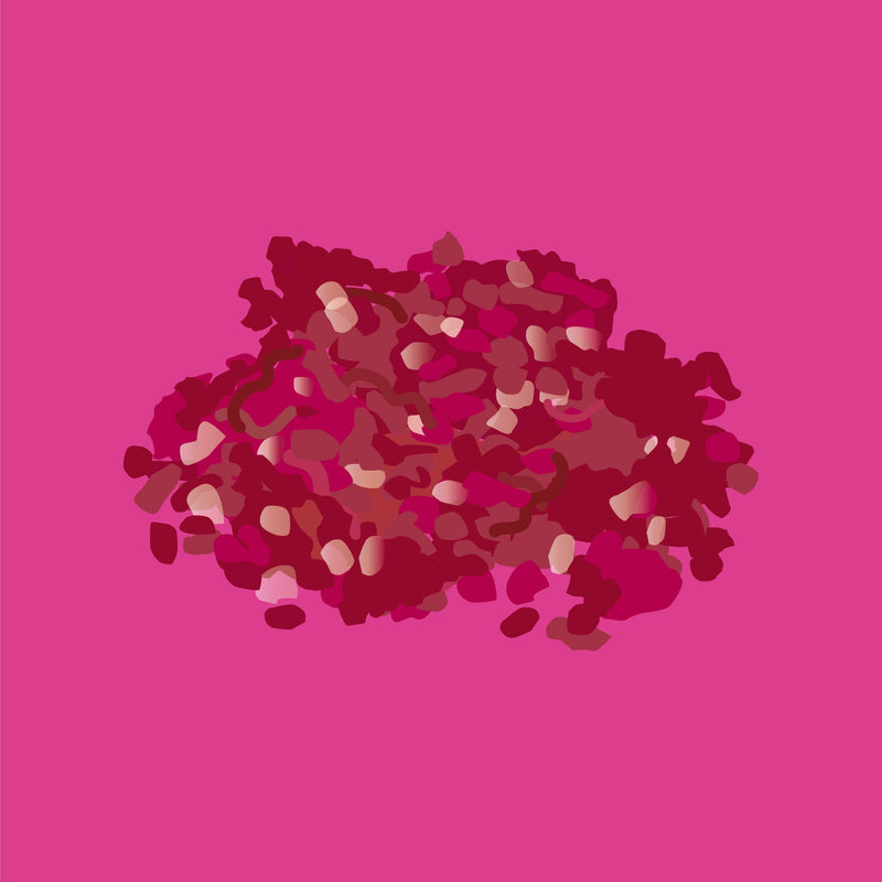 Pasture fed organic lamb mince