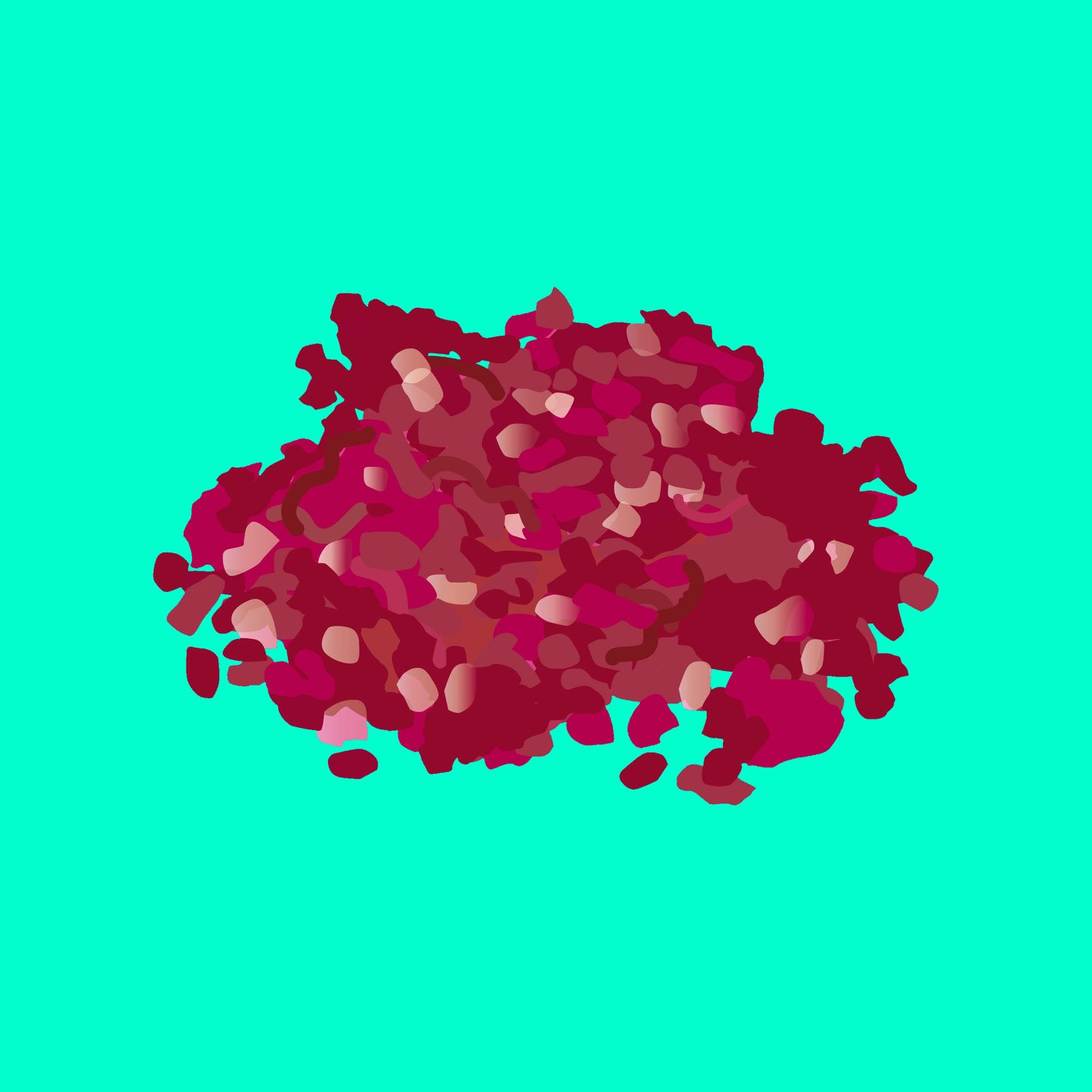 Pasture fed organic hogget mince
