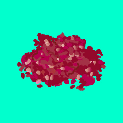 Pasture fed organic hogget mince