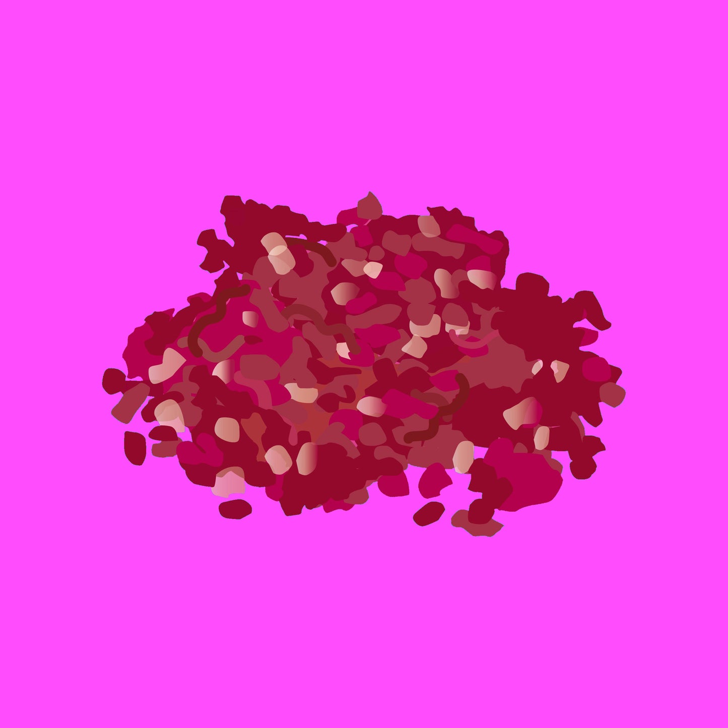 Pasture fed organic beef mince