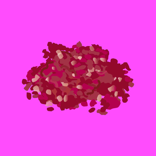 Pasture fed organic beef mince