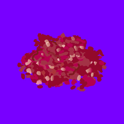 Pasture fed organic beef mince