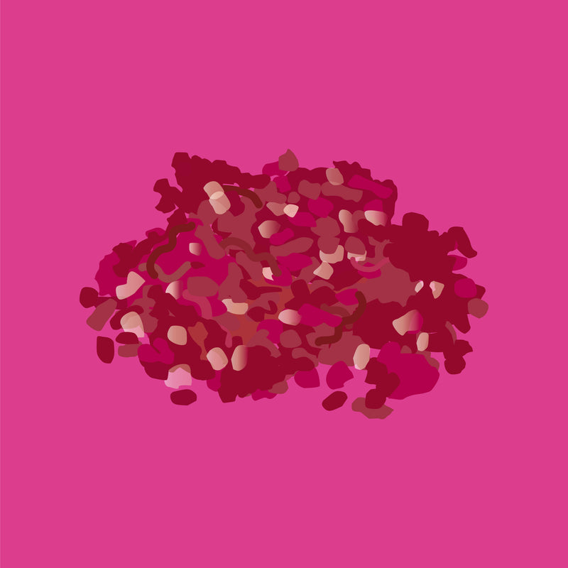Pasture fed organic lamb mince
