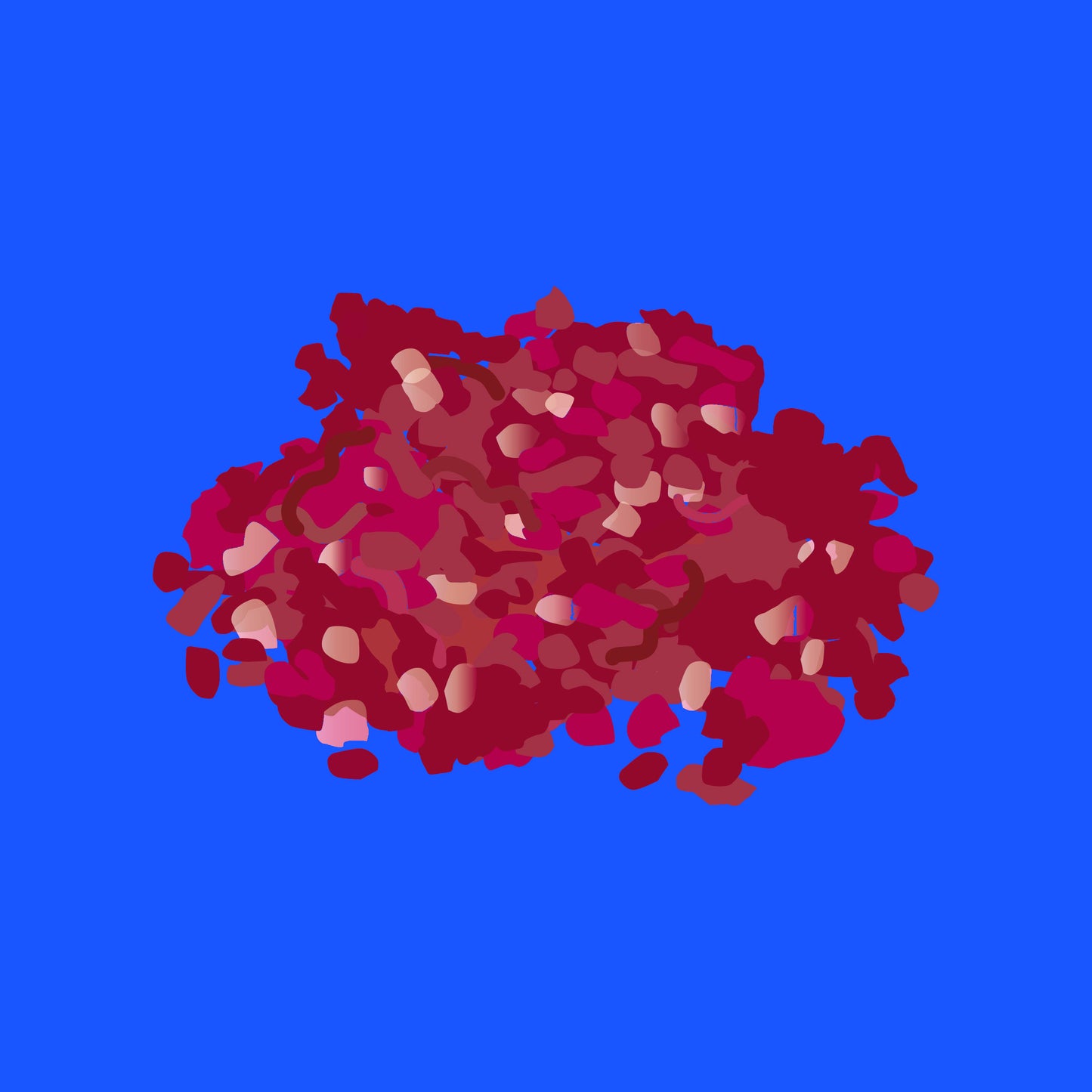 Pasture fed organic conversion mutton mince