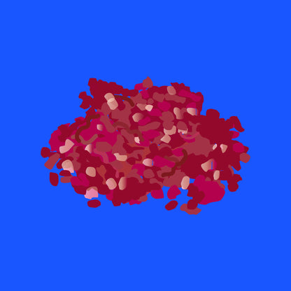 Pasture fed organic conversion mutton mince