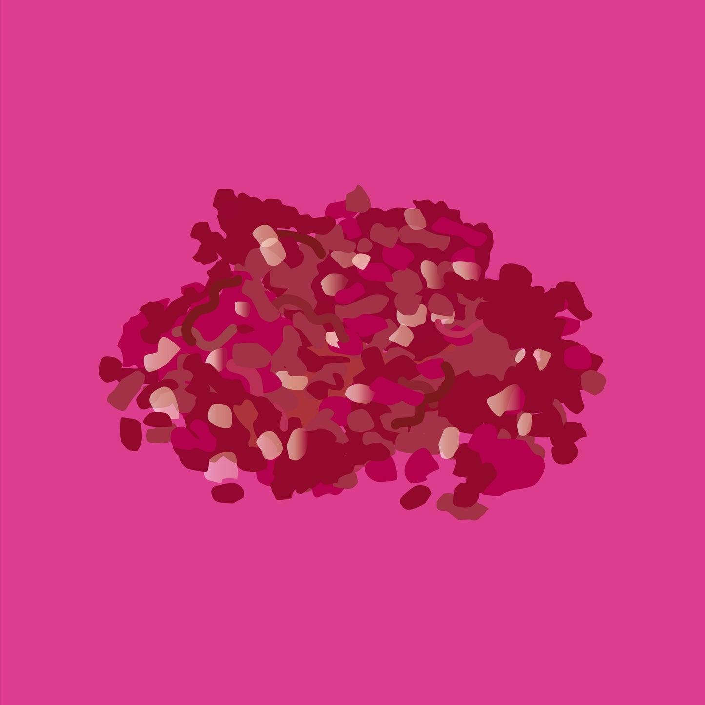 Pasture fed organic hogget mince