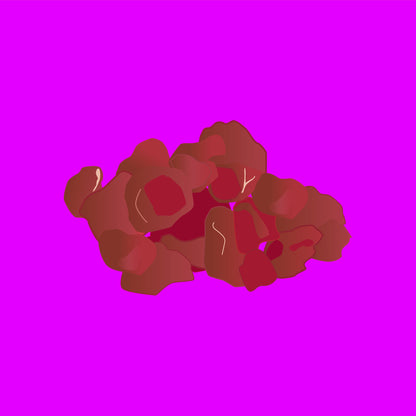 Wild venison casserole meat