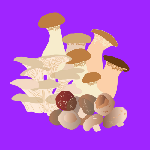 Organic mushroom selection