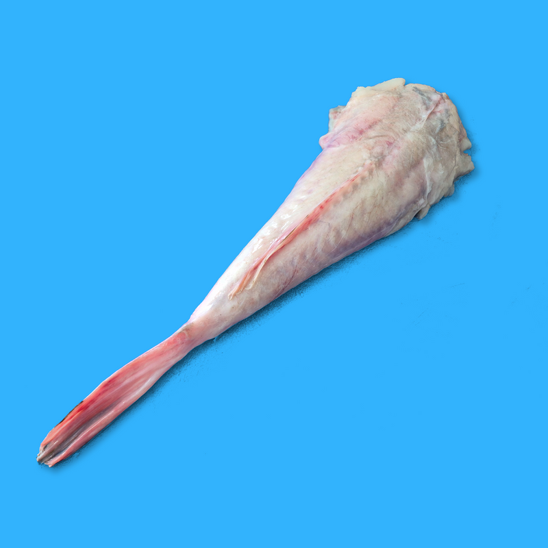Frozen whole monkfish tail
