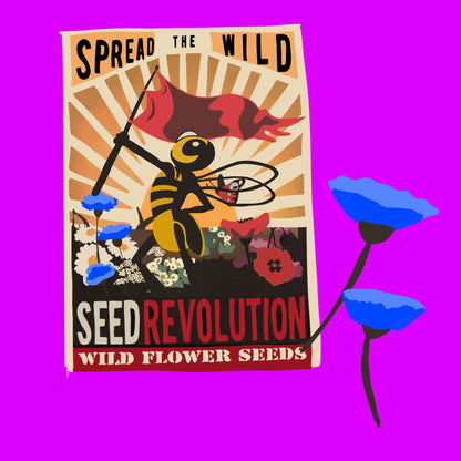 Wild Hearts wildflower seed mix