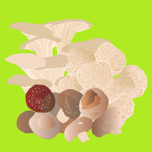 Mushroom Selection