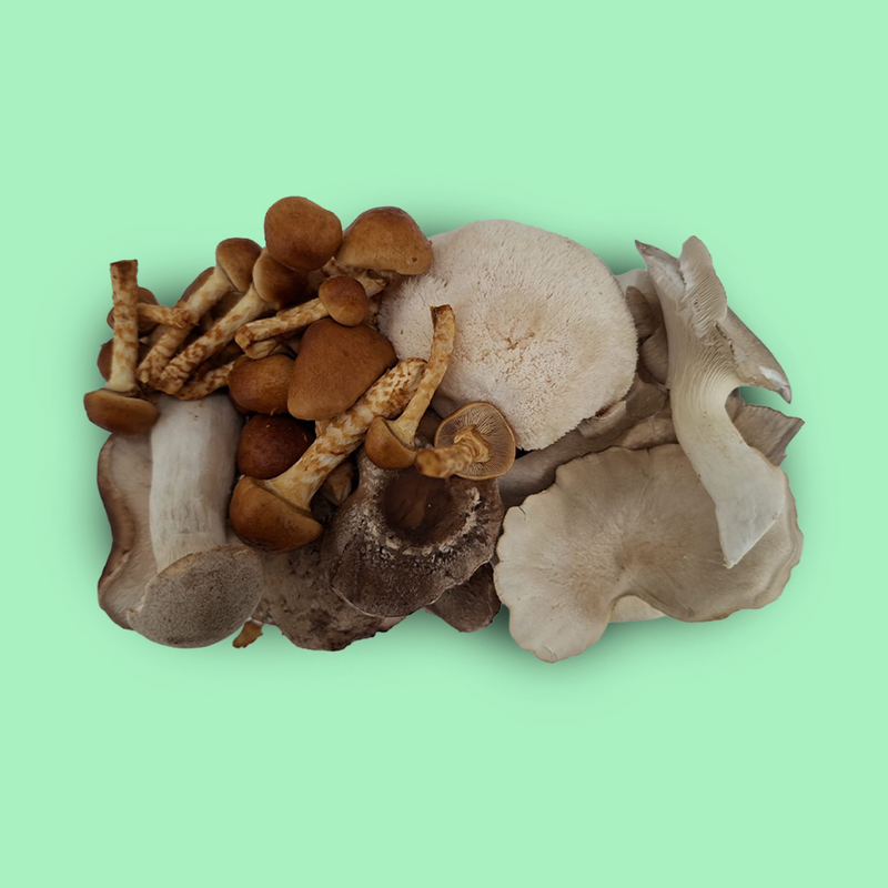 Mixed mushroom punnet