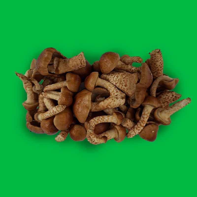 Nameko mushrooms