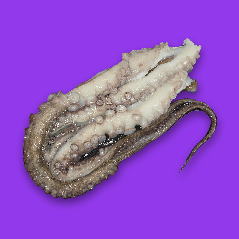 Frozen octopus tentacles