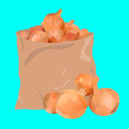 Biodynamic organic white Spanish onions
