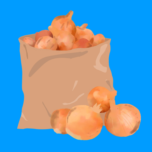 Biodynamic organic onions