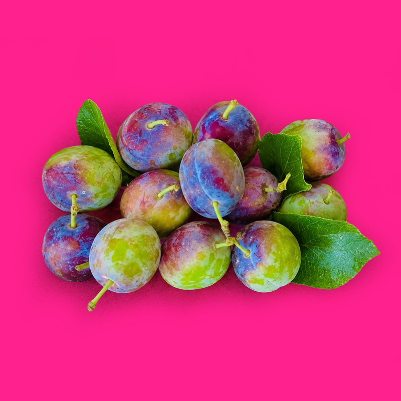 Opal plums