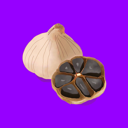 Illustration of organic French black garlic, dark cloves with a rich glossy texture.