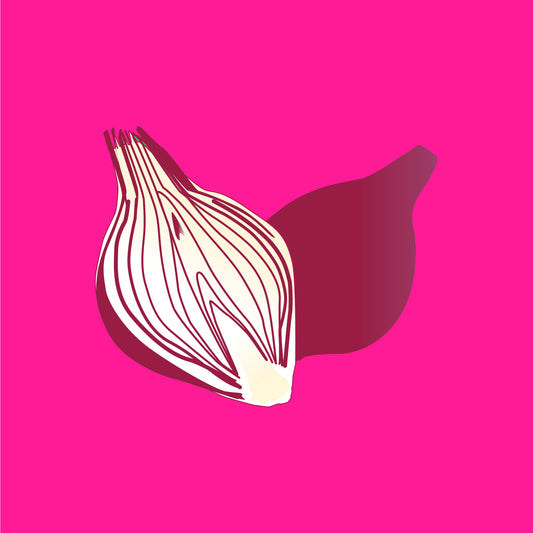 Illustration of organic French red onions, whole and sliced with deep purple layers.