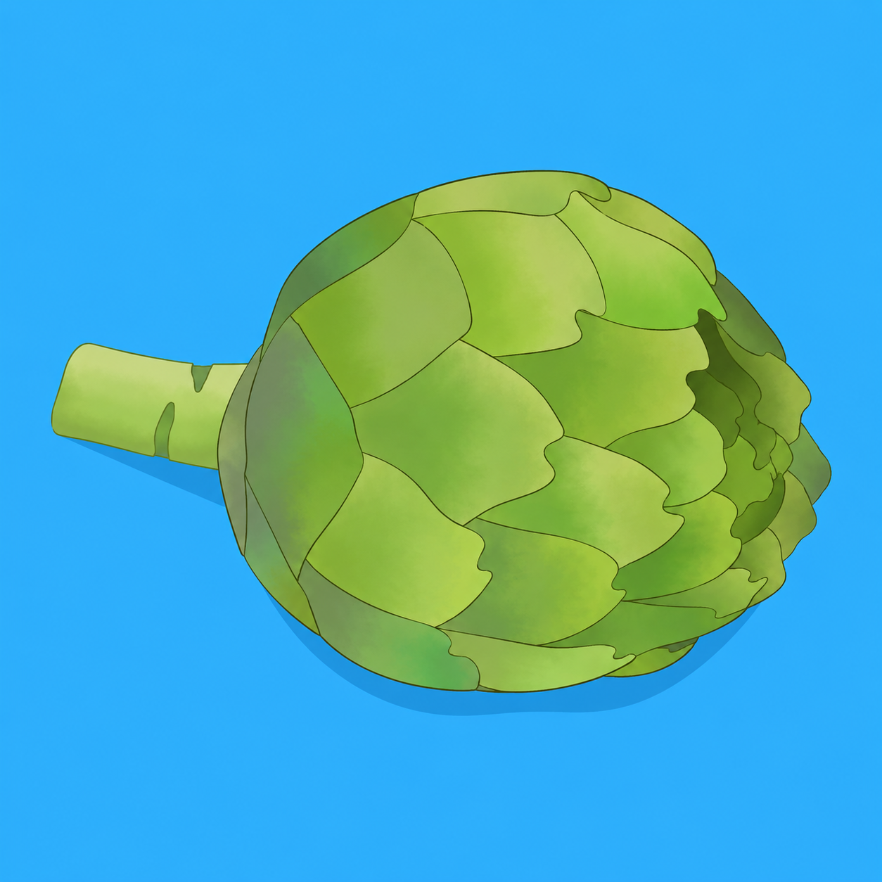 Organic green artichoke