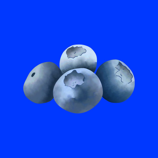 Illustration of organic Spanish blueberries, fresh dark berries with a natural bloom.