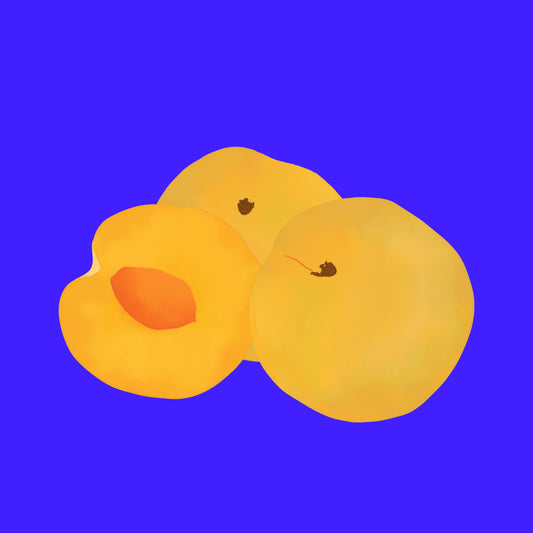 Illustration of organic Spanish yellow peaches, ripe fruit with golden flesh and soft skin.