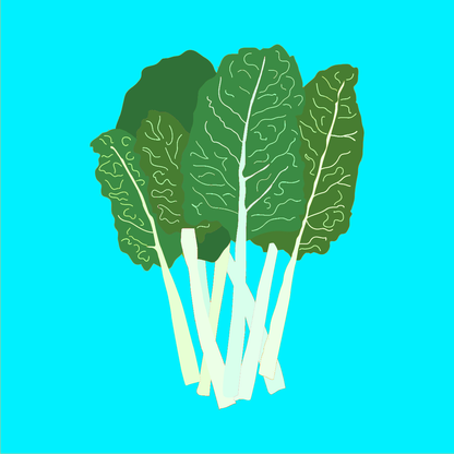 Fresh organic Swiss chard bunch with vibrant green leaves and colourful stems.