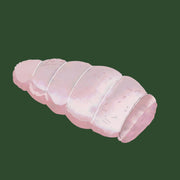 British Organic Turkey Breast Roasts