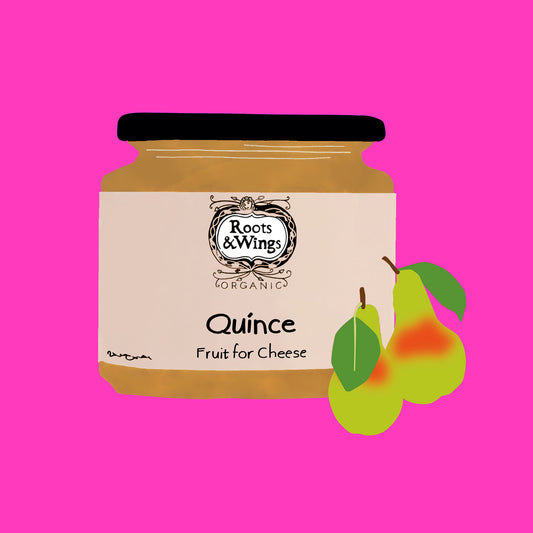 Illustration of organic quince membrillo, firm golden paste sliced into blocks.