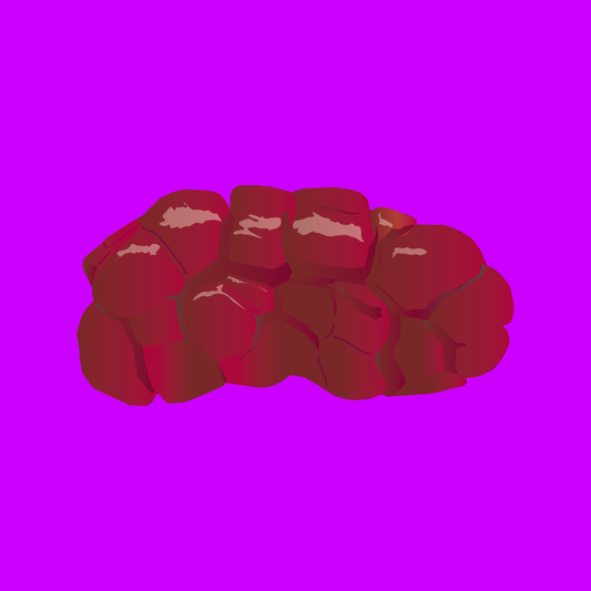 Pasture fed organic ox kidney