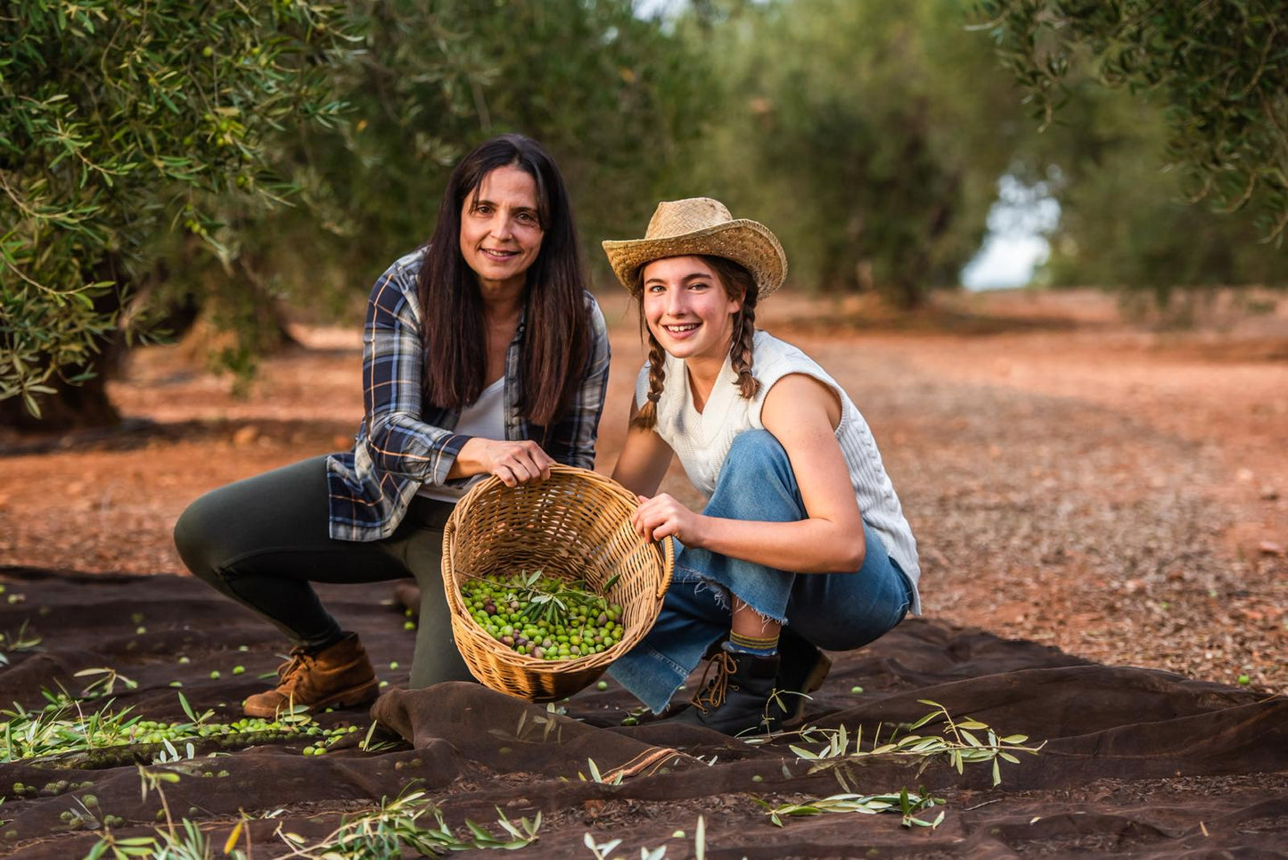 Early Harvest Extra Virgin Olive Oil