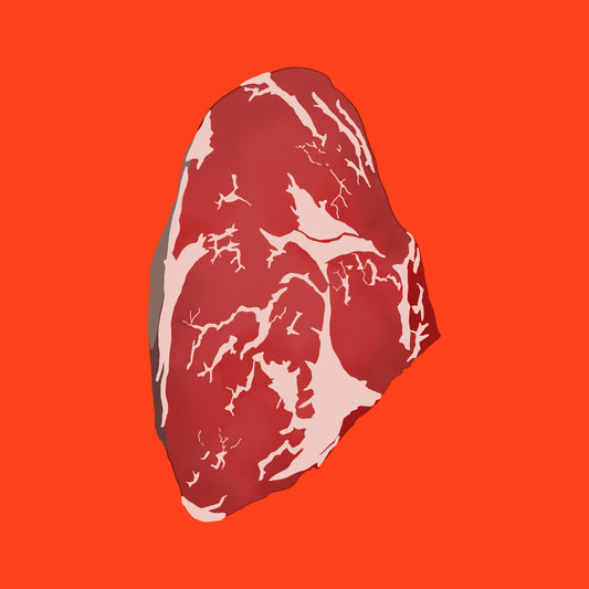 Illustration of pasture fed organic dry aged ribeye steak, marbled cut with rich texture.