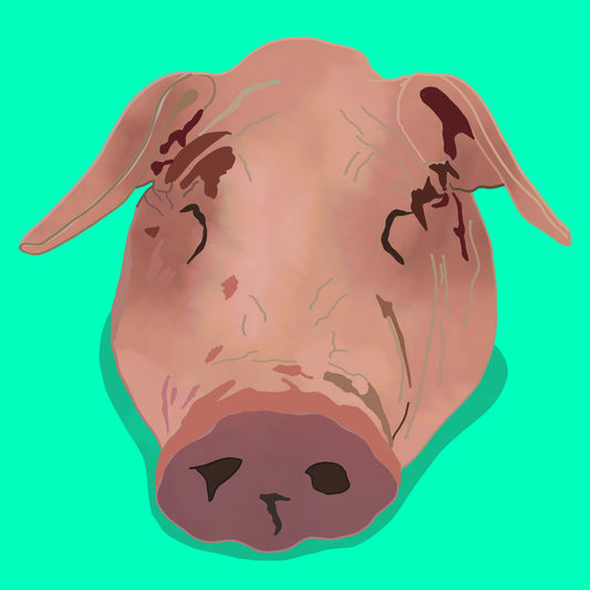 Organic pig's head