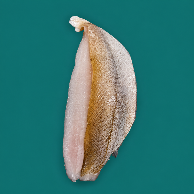 Wild pout fillets